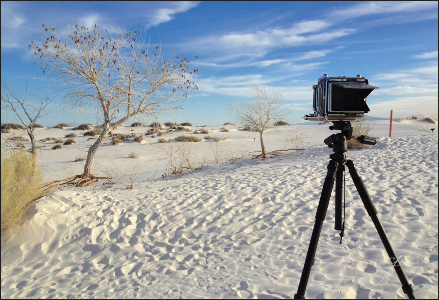 There's nothing like the pastel light during sunrise at White Sands. Hoping I pulled a few good on the view camera.