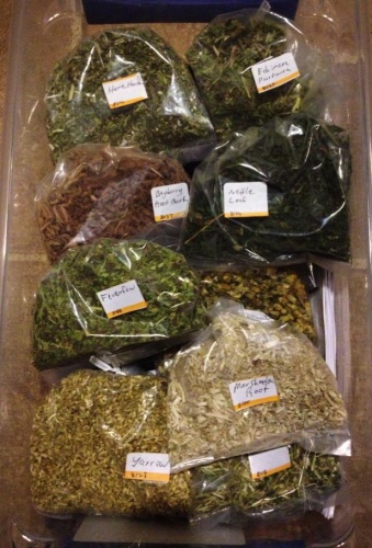 We now have good stock of herbs to cover everything from fever to bleeding. The primary med kit is also well stocked.