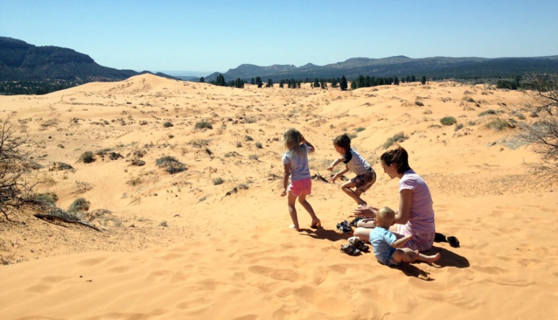More sand. The kids love it. Especially Cy. Coral Pink Sands this time.