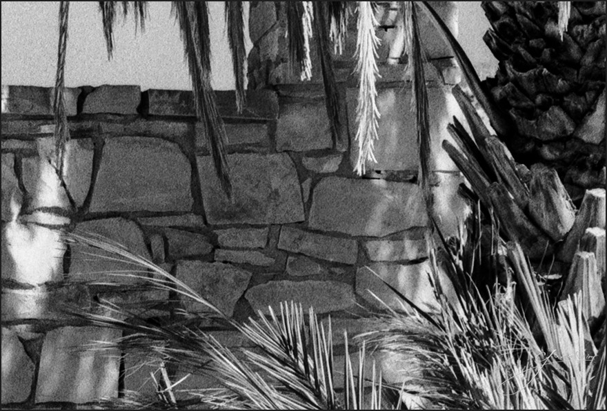Big Bend Hot Springs - 4x5 film detail